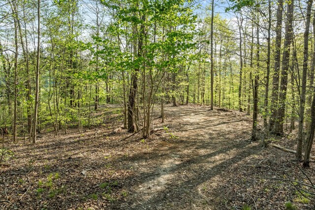 4986 Robbinstown Rd, Byrdstown, TN 38549