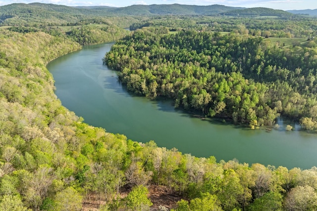 4986 Robbinstown Rd, Byrdstown, TN 38549