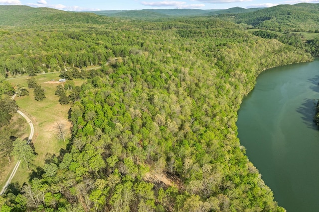 4986 Robbinstown Rd, Byrdstown, TN 38549