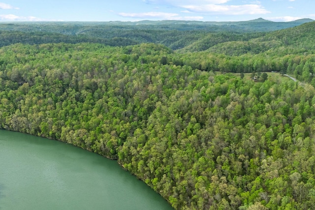 4986 Robbinstown Rd, Byrdstown, TN 38549