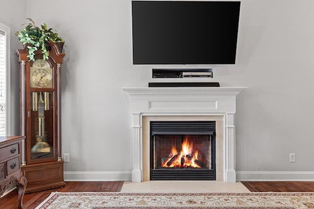 433 Stanford Dr, Flintstone, GA 30725 - details with a fireplace with flush hearth, baseboards, and wood finished floors
