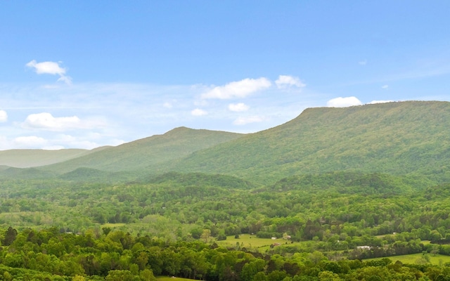 433 Stanford Dr, Flintstone, GA 30725 - property view of mountains with a wooded view