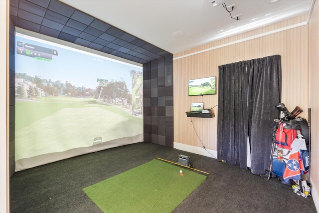 7314 Dug Hill Rd, Bon Aqua, TN 37025 - playroom featuring golf simulator and carpet floors