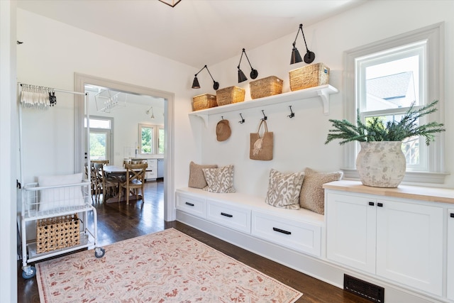 7314 Dug Hill Rd, Bon Aqua, TN 37025 - mudroom with dark wood-type flooring