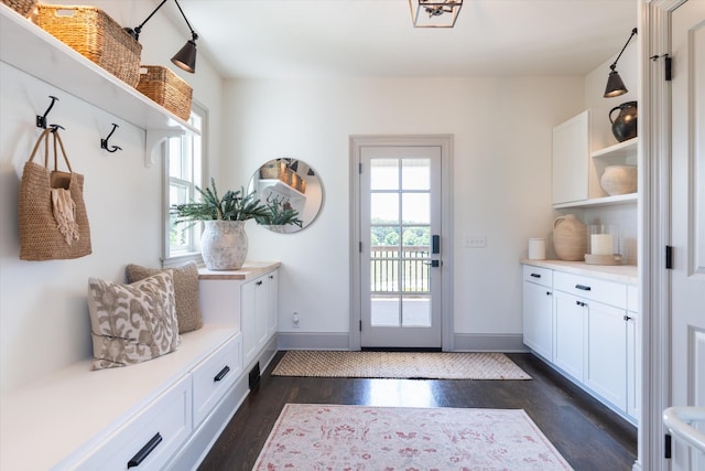 7314 Dug Hill Rd, Bon Aqua, TN 37025 - mudroom featuring dark wood-style floors and baseboards