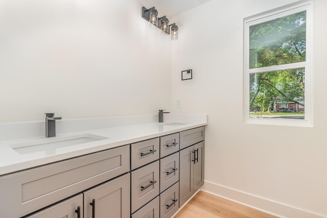 bathroom with baseboards, a sink, wood finished floors, and double vanity