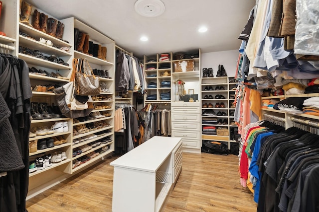223 Kennett Rd, Old Hickory, TN 37138 - walk in closet with light wood-style flooring