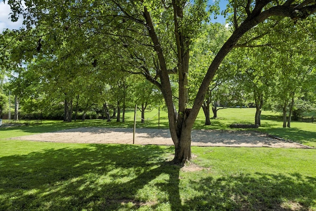 223 Kennett Rd, Old Hickory, TN 37138 - view of home's community with a lawn