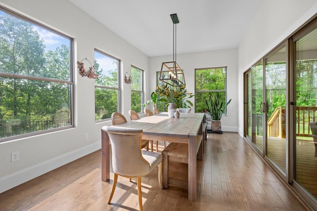 dining area with baseboards and a healthy amount of sunlight