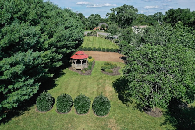 bird's eye view