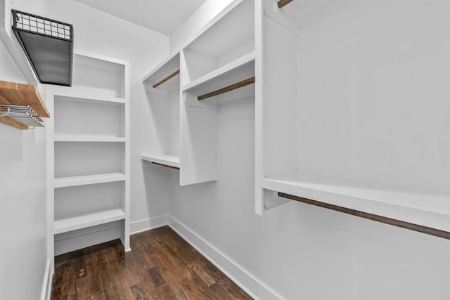 walk in closet featuring dark wood-type flooring