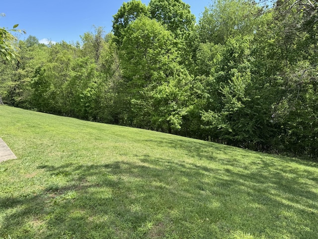 view of yard featuring a wooded view