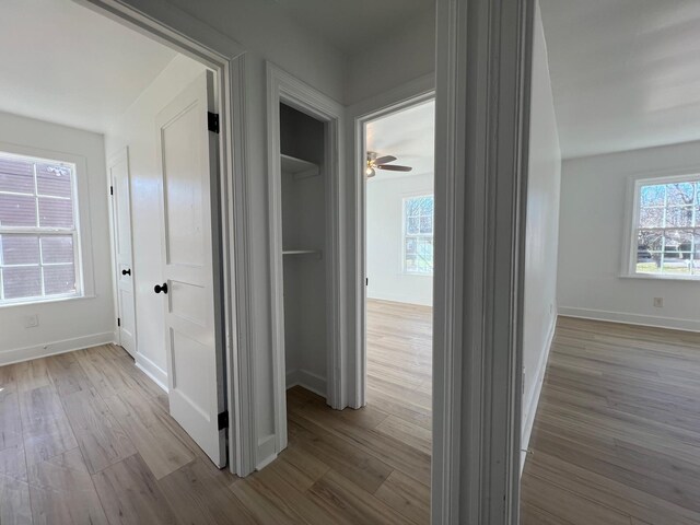 419 Hawkins Ave, Murfreesboro, TN 37130 - hall with baseboards and wood finished floors