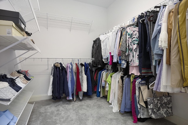 spacious closet featuring carpet