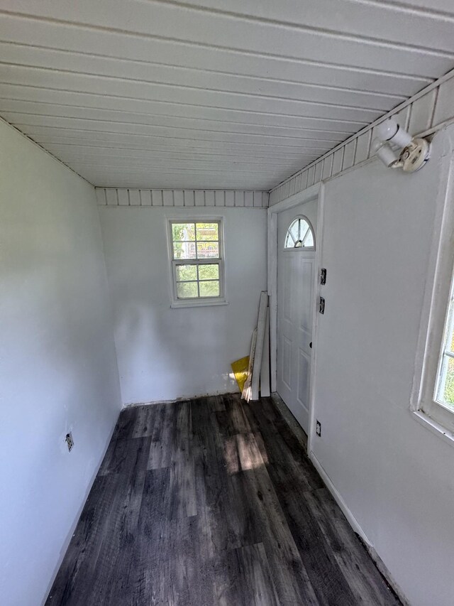 basement featuring dark wood finished floors