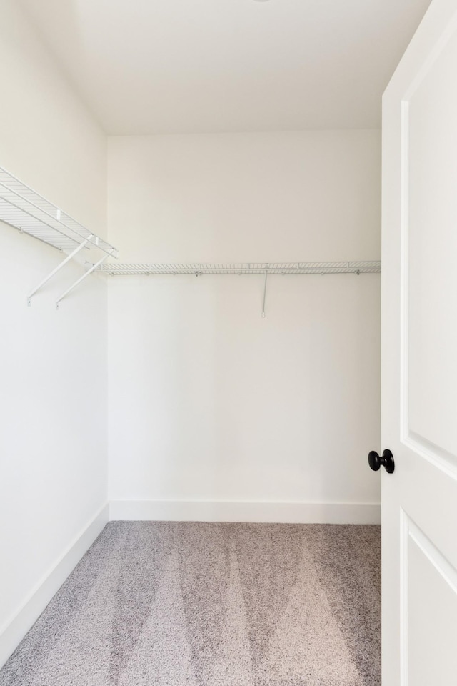 spacious closet with carpet floors