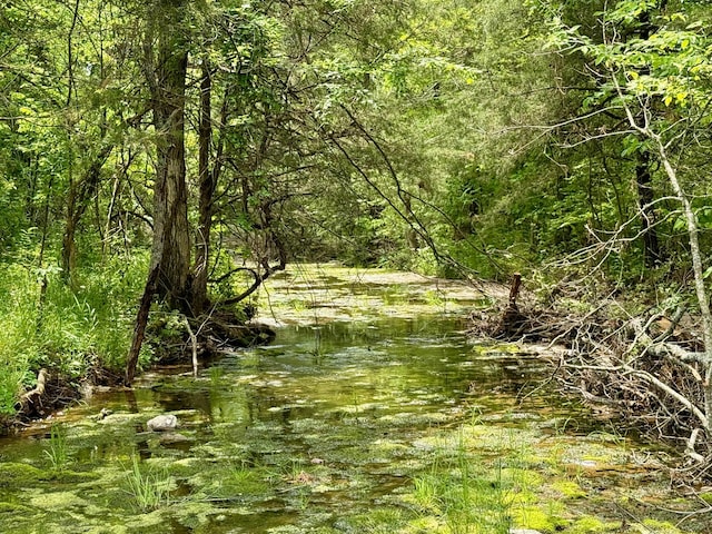 view of local wilderness featuring a wooded view