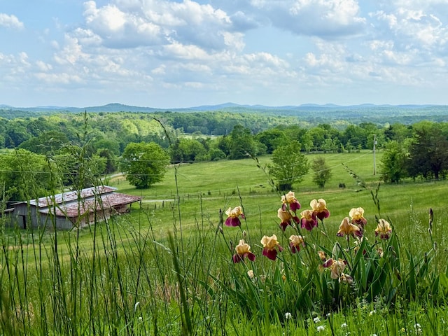 view of yard with a rural view and a mountain view