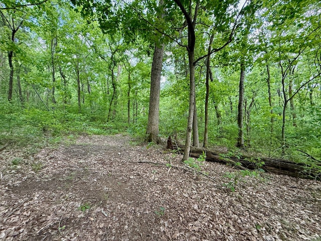view of nature featuring a wooded view