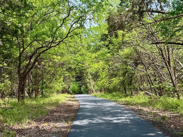 view of street featuring a forest view