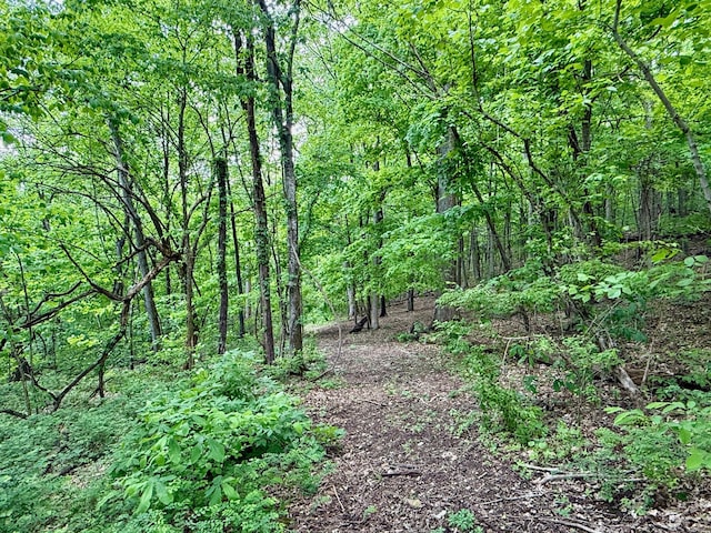 view of landscape featuring a forest view