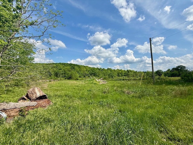 view of local wilderness