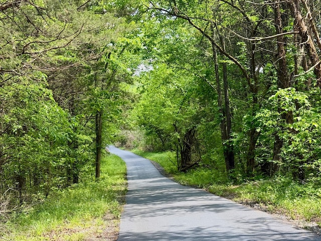 view of street with a forest view