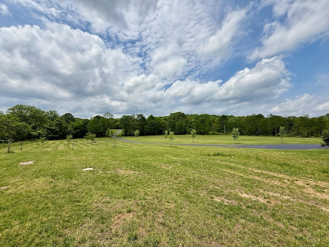 view of yard featuring a rural view and a forest view