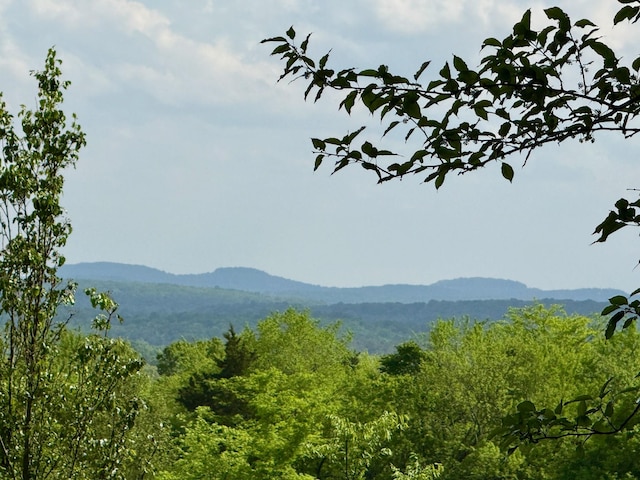 property view of mountains with a view of trees