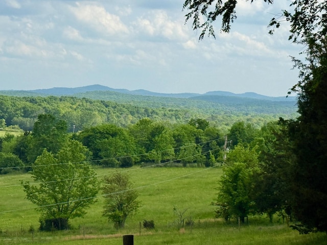 property view of mountains featuring a wooded view