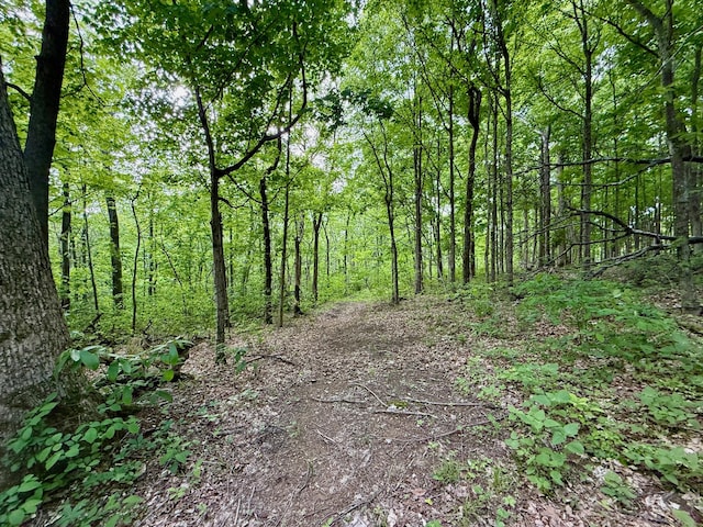 view of local wilderness with a forest view