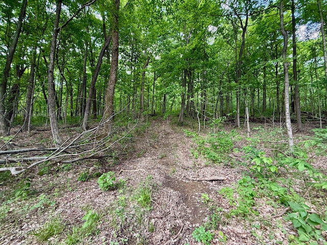 view of landscape with a forest view