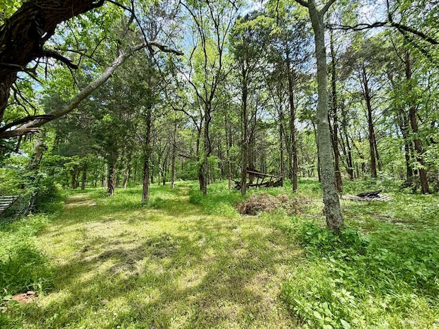 view of nature featuring a forest view