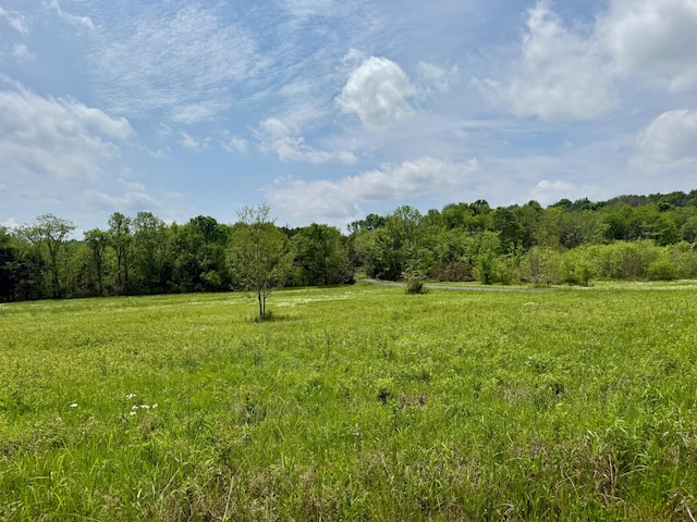 view of landscape with a rural view