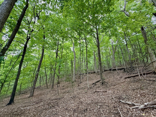 view of nature featuring a wooded view