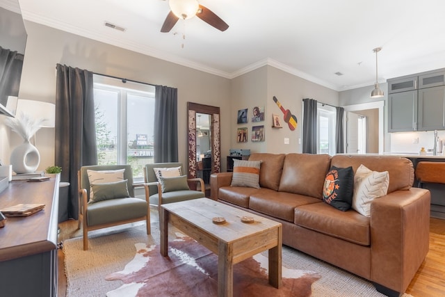 living area featuring crown molding, a ceiling fan, visible vents, and light wood-style flooring