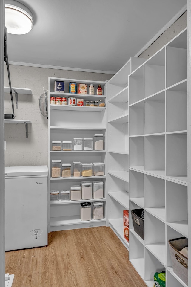 2075 Buttrey Rd, Bon Aqua, TN 37025 - view of pantry