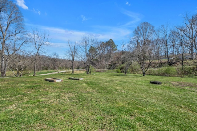 2075 Buttrey Rd, Bon Aqua, TN 37025 - view of yard