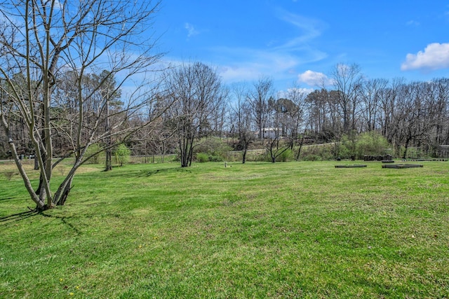 2075 Buttrey Rd, Bon Aqua, TN 37025 - view of yard