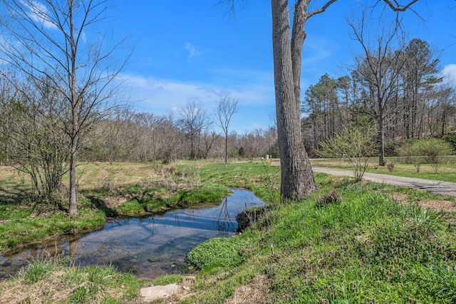 2075 Buttrey Rd, Bon Aqua, TN 37025 - exterior space featuring a wooded view