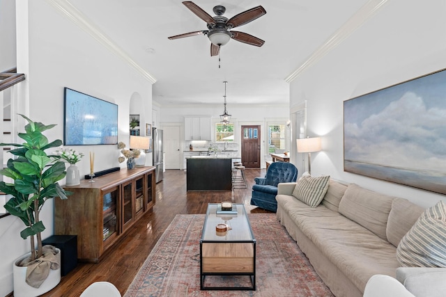 living area with crown molding, dark wood-type flooring, and ceiling fan