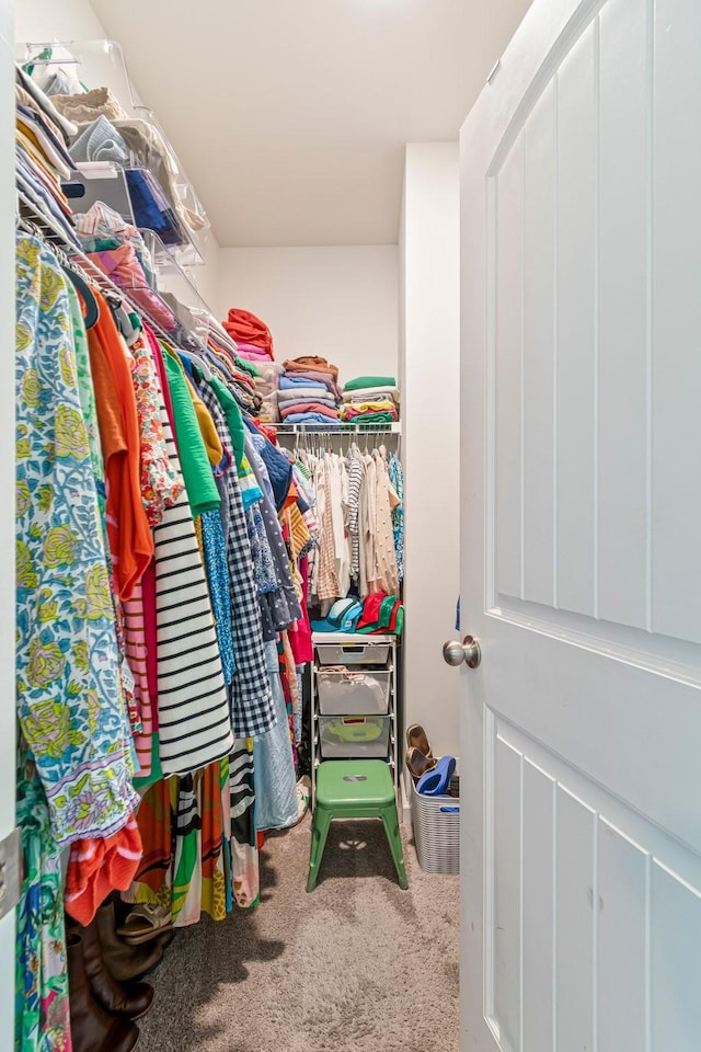 spacious closet with carpet flooring