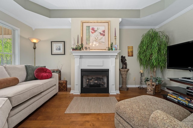 living area featuring a tray ceiling, ornamental molding, wood finished floors, and a fireplace
