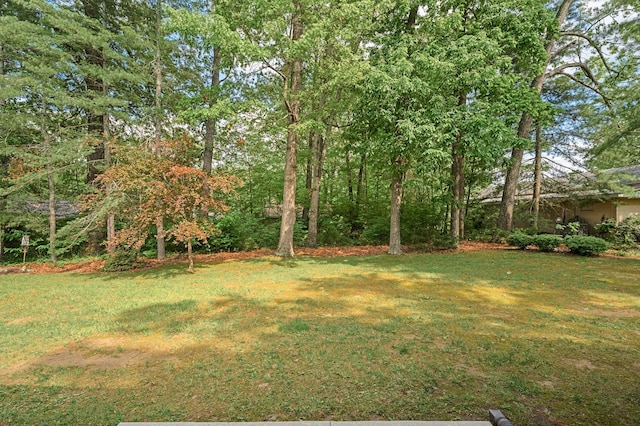 view of yard