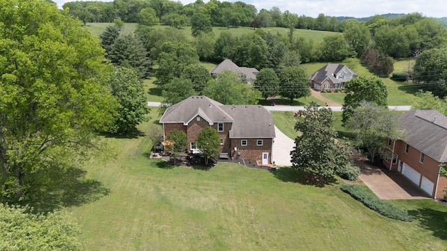 aerial view