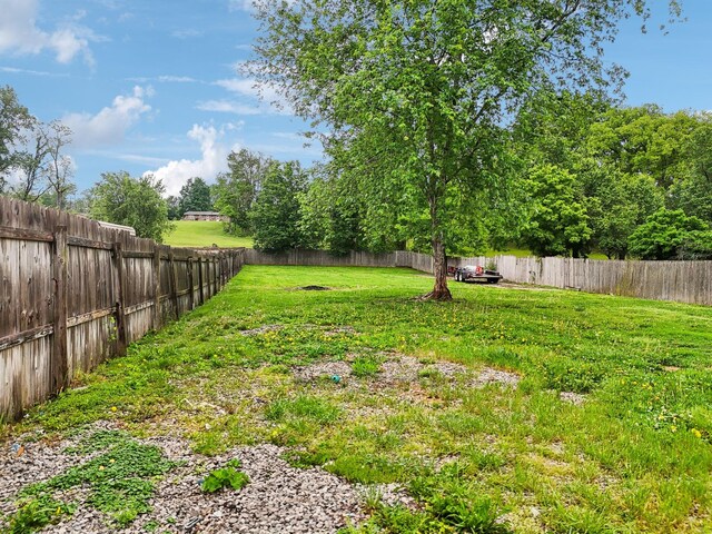 111 Warren St, Mcminnville, TN 37110 - photo 31