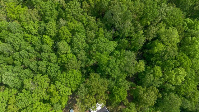 1233 Hardwood Trl, Burns, TN 37029 - birds eye view of property