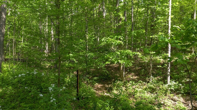 1233 Hardwood Trl, Burns, TN 37029 - view of landscape with a forest view