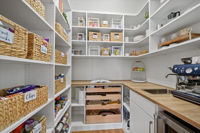 pantry with beverage cooler