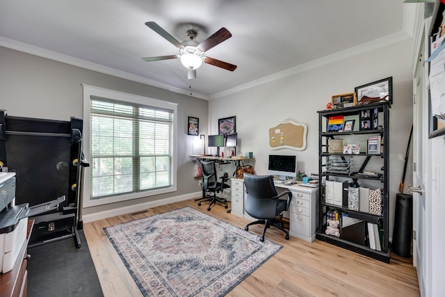 2965 Stewart Campbell Pt, Spring Hill, TN 37174 - office area with crown molding, baseboards, light wood-style floors, and a ceiling fan